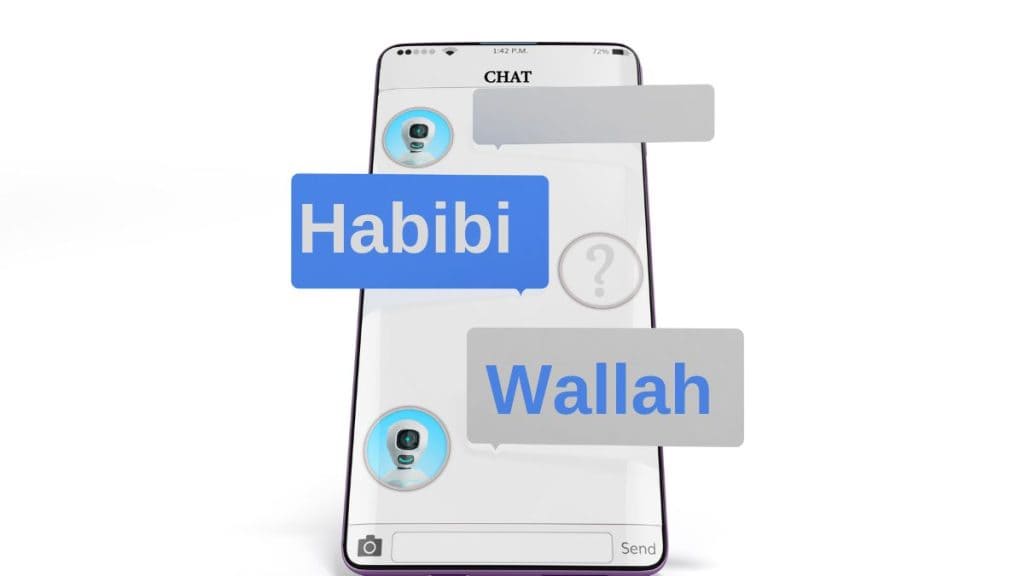 What Does Habibi Mean? 