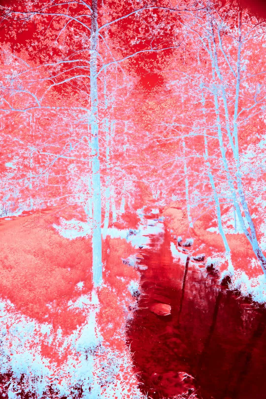 How to Make AI Music Videos with MidJourney Visuals for Under $20