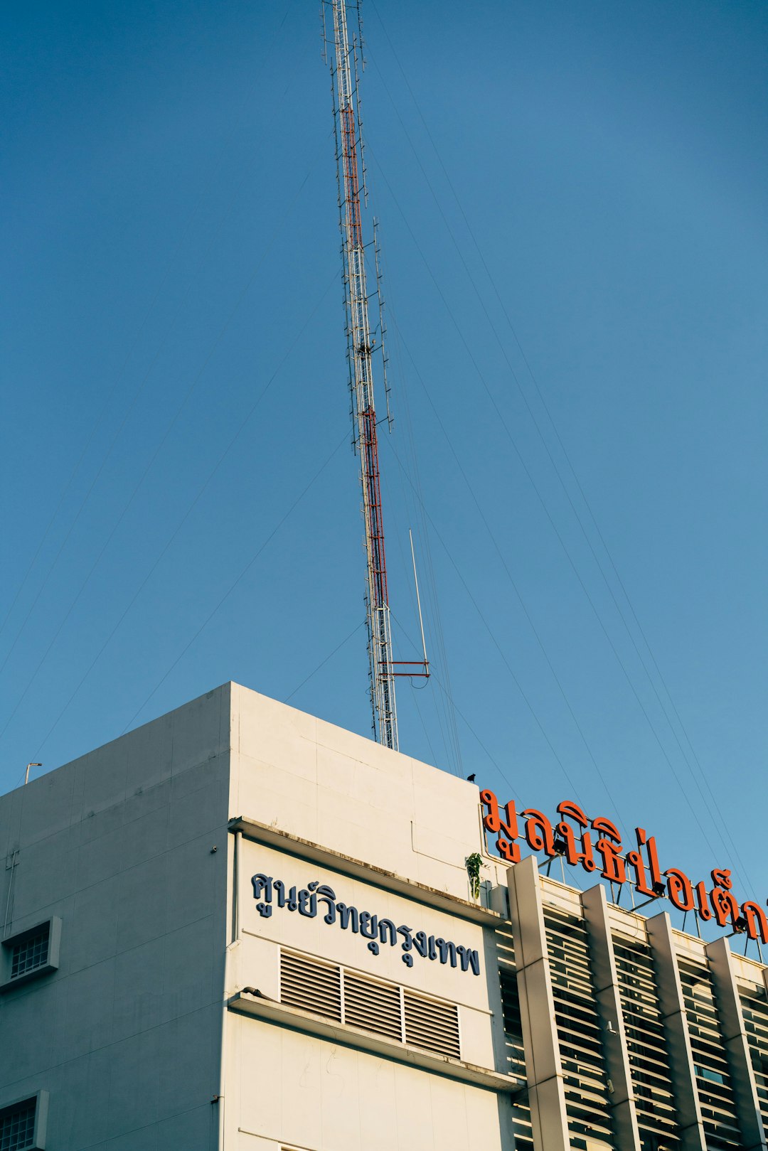 NTDTVJP: Bridging East and West Through Unique Storytelling