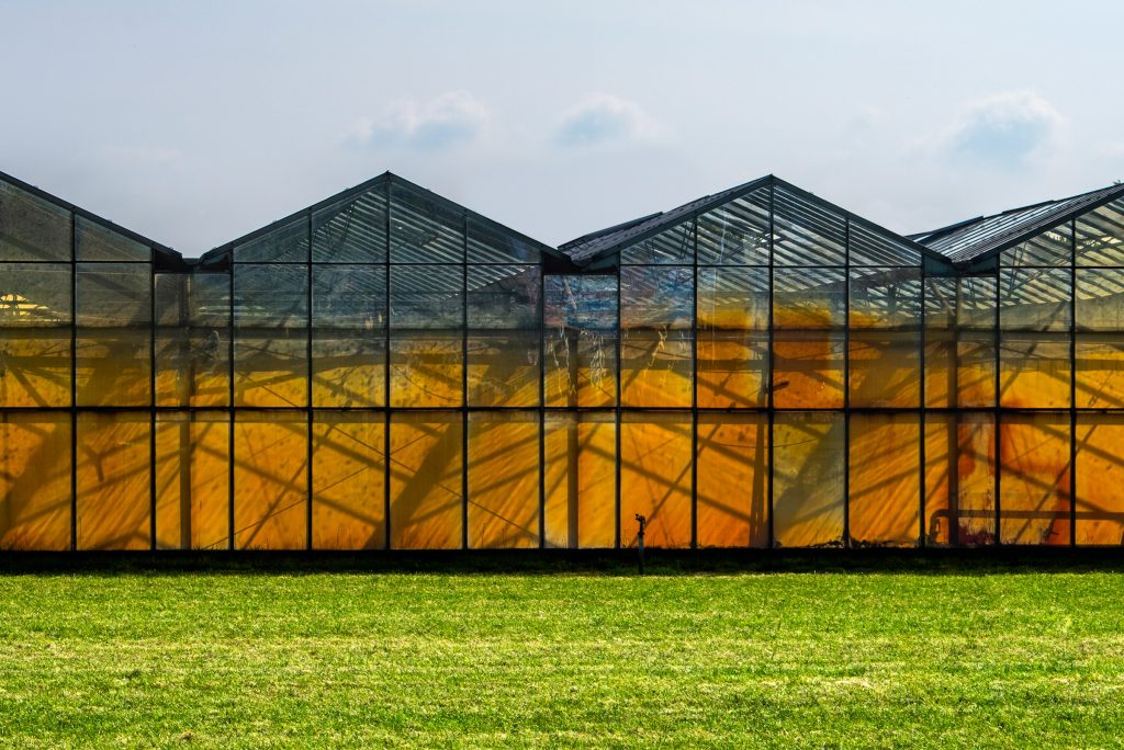 Advanced Greenhouse Structures For High Yield Agricultural Success